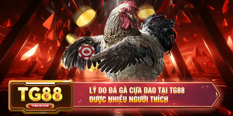 Lý Do Đá Gà Cựa Dao Tại TG88 Được Nhiều Người Yêu Thích